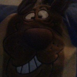 Scooby-doo pillow